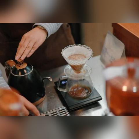 《解忧咖啡馆2》白金攻略：芙蓉蝴蝶全流程揭秘