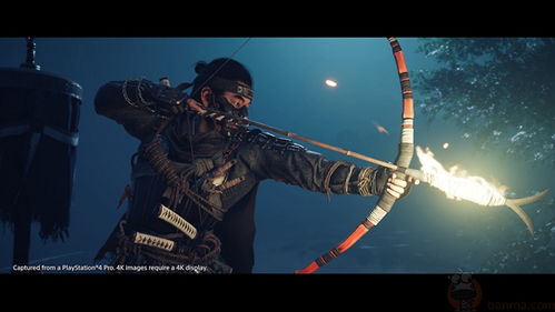 《对马岛之鬼》开发商新多人游戏：探索未知冒险之旅