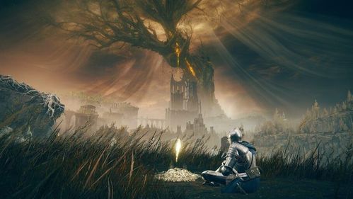 《艾尔登法环》黄金树之影DLC柳条人全位置攻略+高效打法+露滴效果解析