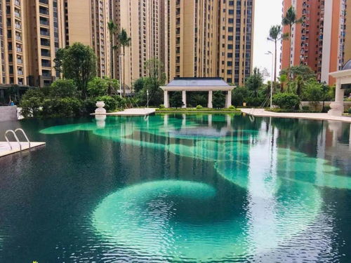 《蔚蓝》彩蛋深度揭秘：隐藏位置大曝光！