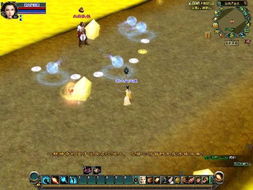 十大精选海盗游戏，揭秘必玩攻略宝藏