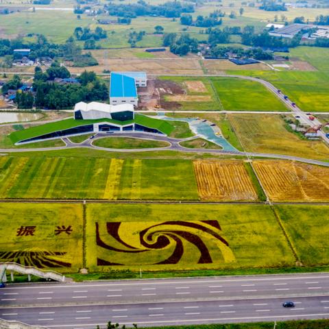 盘点热门种田游戏，解锁休闲农业新体验