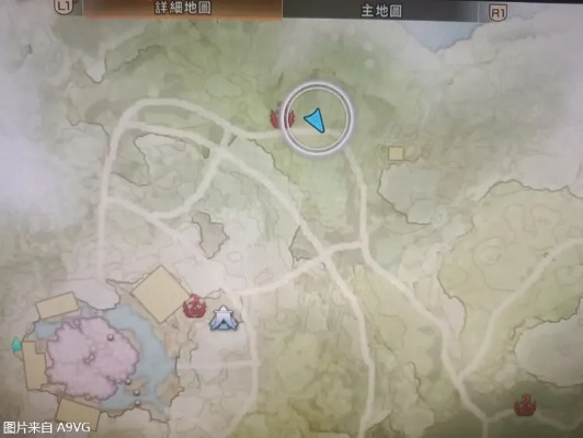 《狂野之心》春霞古道：独家揭秘收集品隐藏位置攻略