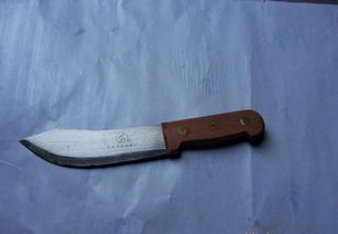 羊蹄山马车售价引争议:80刀是否合理?