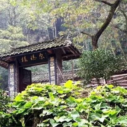 浮路病院全章攻略：深度解析，通关秘籍大公开