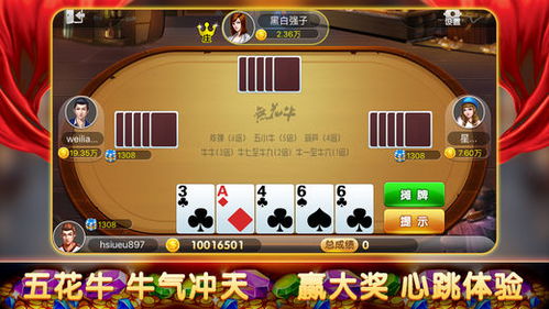 热门下载！纸牌游戏排行，人气爆款一网打尽