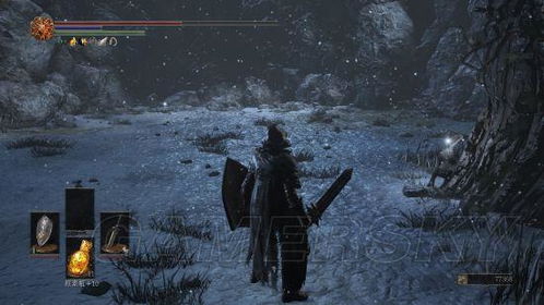 《黑暗之魂3》DLC深度解析：揭秘新剧情与未来走向