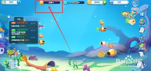 萌鱼泡泡进化秘籍：高效资源攻略全解析