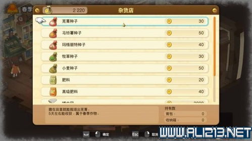 时光公主攻略秘籍：全面升级全解秘