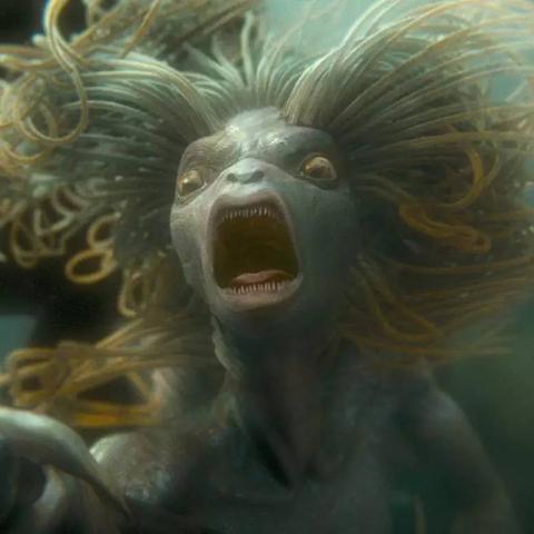 神奇海洋4月30日答案揭晓2025多图