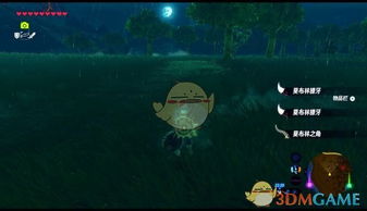 《塞尔达传说》探秘：轻松获取光线头攻略！