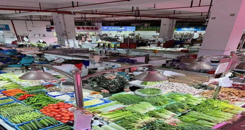 《菜市场模拟器》攻略：打造你的虚拟菜场帝国