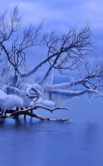 夏日狱卒壁纸：雪凉意境，独享清凉
