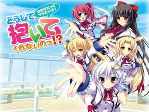 十大精选GalGame，揭秘必玩游戏新体验