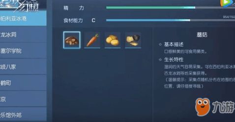 《鸣潮》鱼语翻译攻略：解锁动物之声的秘密