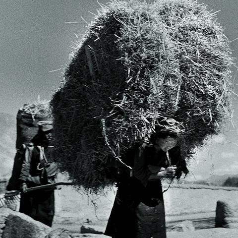 《庄园领主》贸易攻略揭秘：轻松赚钱的黄金法则