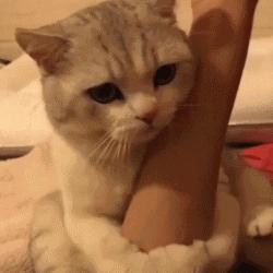 《暗黑破坏神4》伤害计算揭秘：深度解析全新机制