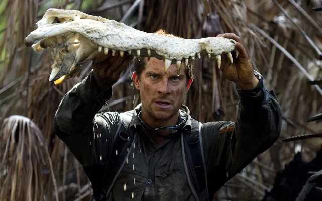 荒野求生种植秘籍：高效生存全攻略解析