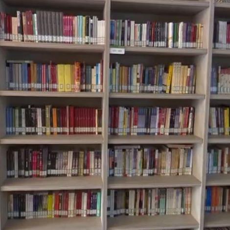 热门拟真游戏盘点：揭秘下载量高峰之作