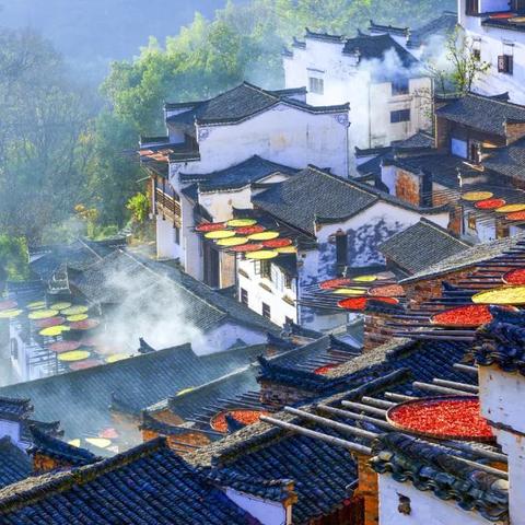 《光与影33号》独家手绘地图：明黄丰收宝藏盘点攻略