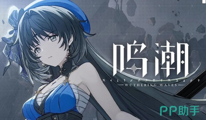 《鸣潮暗主攻略：声骸搭配与高效输出技巧》