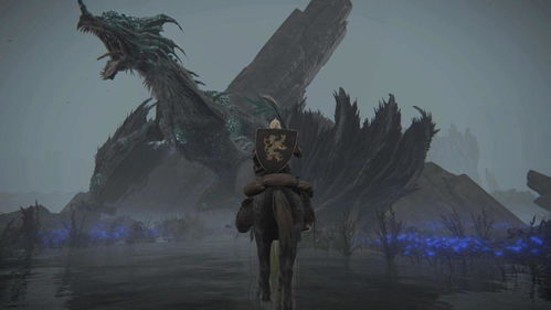 《艾尔登法环》全职业深度解析：黑夜君临技能揭秘