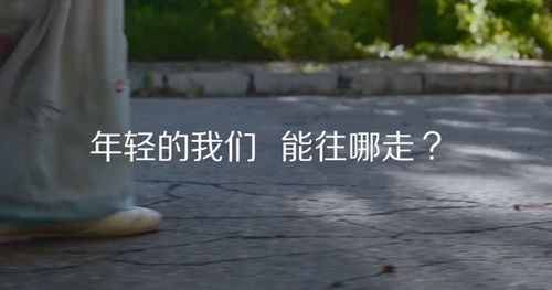 实战案例分享，我的龙只顾惨剧