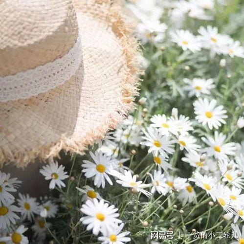 像素时代花朵搭配秘籍，解锁全新搭配美学