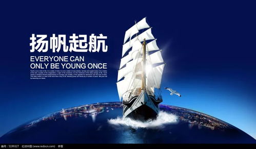 大东家通商攻略：深度解析财富崛起之道