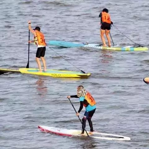 畅玩必备！盘点最热门的趣味软件游戏推荐