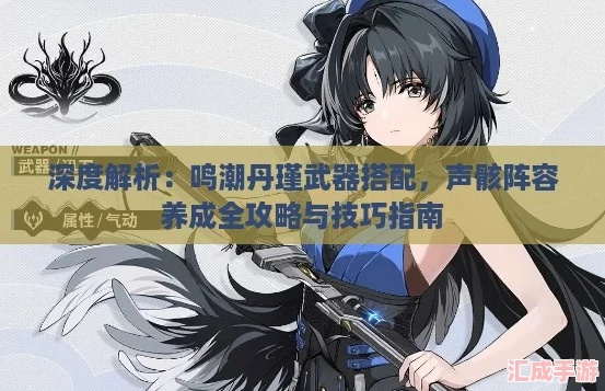 《鸣潮丹瑾武器选择攻略：打造最强阵容》