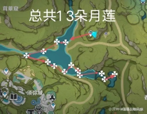 《原神》莲蓬高效采集攻略：快速获取方法揭秘