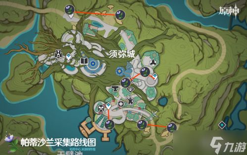 《原神》帕蒂沙兰高效收集攻略：隐藏路线大揭秘