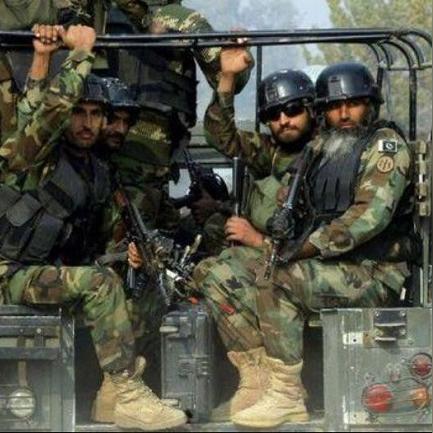 《有机蔬菜恐慌》主机版今春来袭！大战一触即发