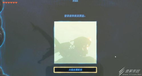 《塞尔达传说》全古栗欧克隐藏位置揭秘！速查攻略大全