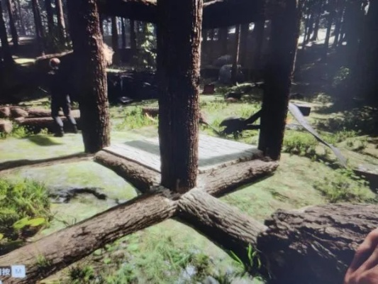 《森林之子》新手必看！开局常见问题解答攻略全解析