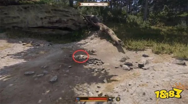 《天国拯救2》龙穴支线攻略：高效完成方法揭秘