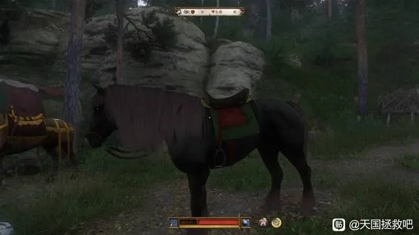 《天国拯救2》高属性马匹隐藏地点大揭秘！