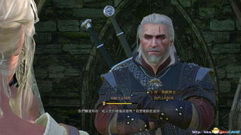 《巫师3》完美结局攻略：圣火阴影全解析