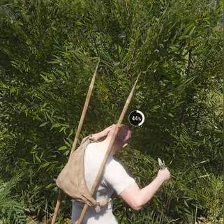 《人渣》新手必看！独家攻略视频，快速上手指南