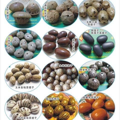 诸神皇冠翡翠树速成秘籍，轻松获取攻略大揭秘