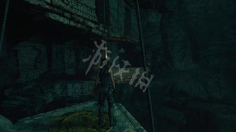 《无冬之夜》洞穴探险：揭秘神秘低语洞穴新篇章