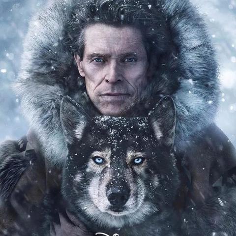 哈士奇巅峰武器大揭秘，妄想山海必备之选