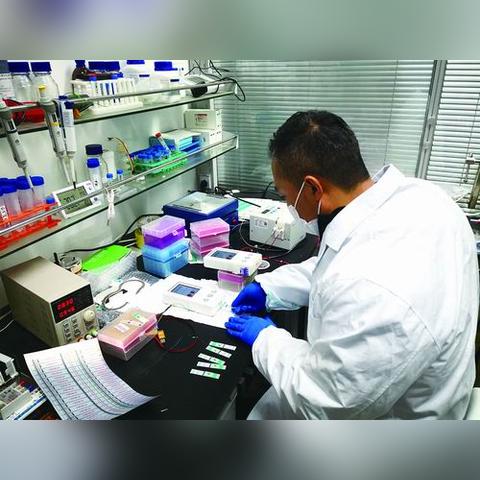 游戏开发利器盘点：热门排行榜前十游戏推荐揭晓