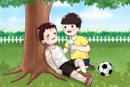 夏日清凉秘籍：汤姆猫教你轻松防暑攻略