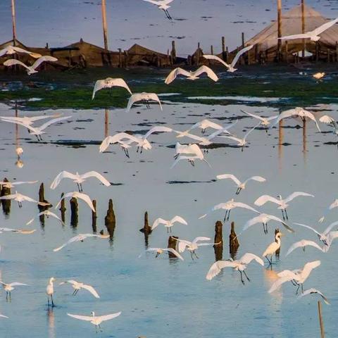 《红霞岛英雄集结！四大角色任你选》