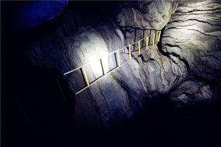 《切尔诺贝利之心裂石超自然体：揭秘神秘生成地》