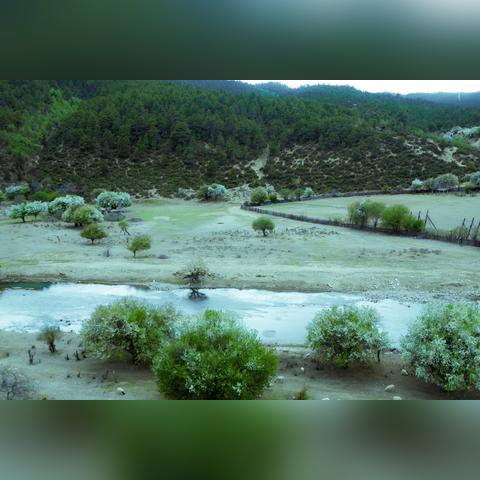 《动物栏桌面牧场》1.5.1新版本大揭秘！升级亮点抢先看