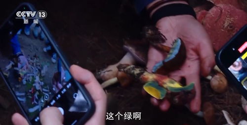 盘点温馨惬意游戏，解锁沉浸式游戏新体验