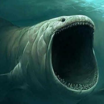 植物大战僵尸2攻略：高效追击技巧深度解析